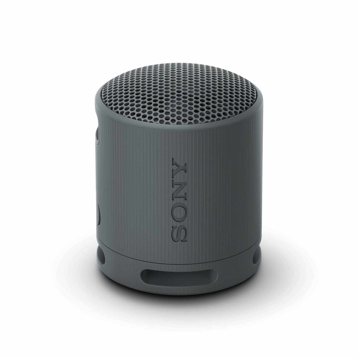 Sony Portable Wireless Speaker Black