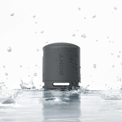 Sony Portable Wireless Speaker Black