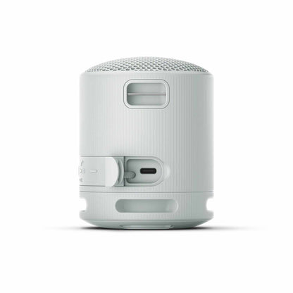 Sony Portable Wireless Speaker Gray