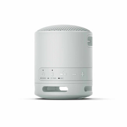 Sony Portable Wireless Speaker Gray