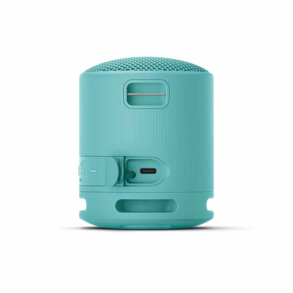 Sony Portable Wireless Speaker Blue
