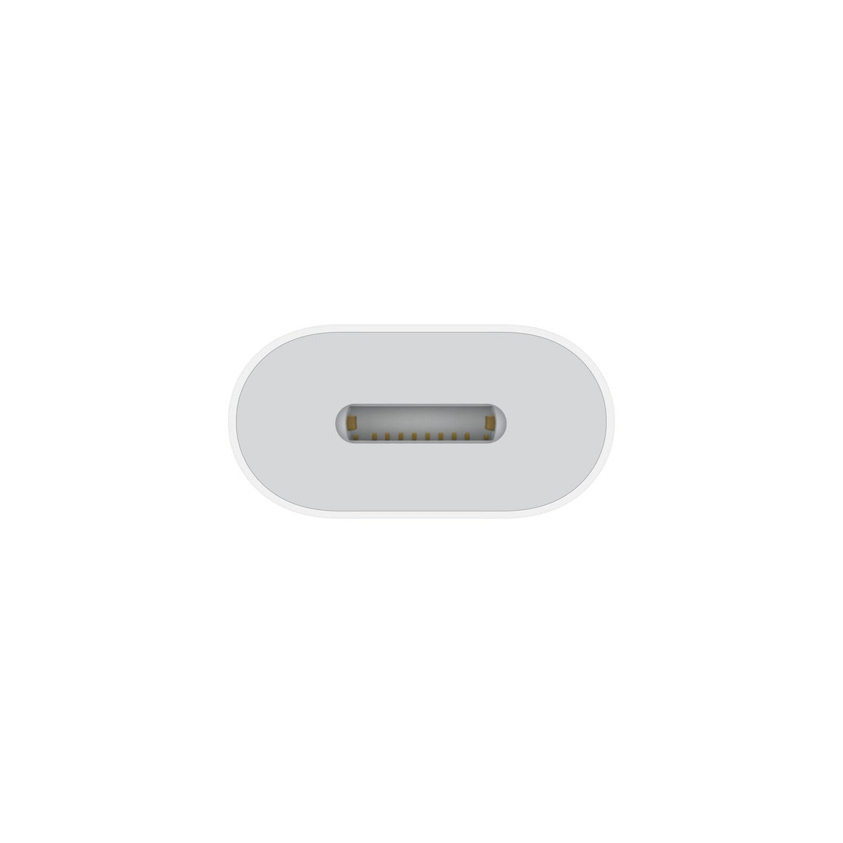 Apple USB-C to Lightning Adapter White