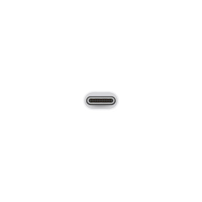 Apple USB-C to USB Adapter White