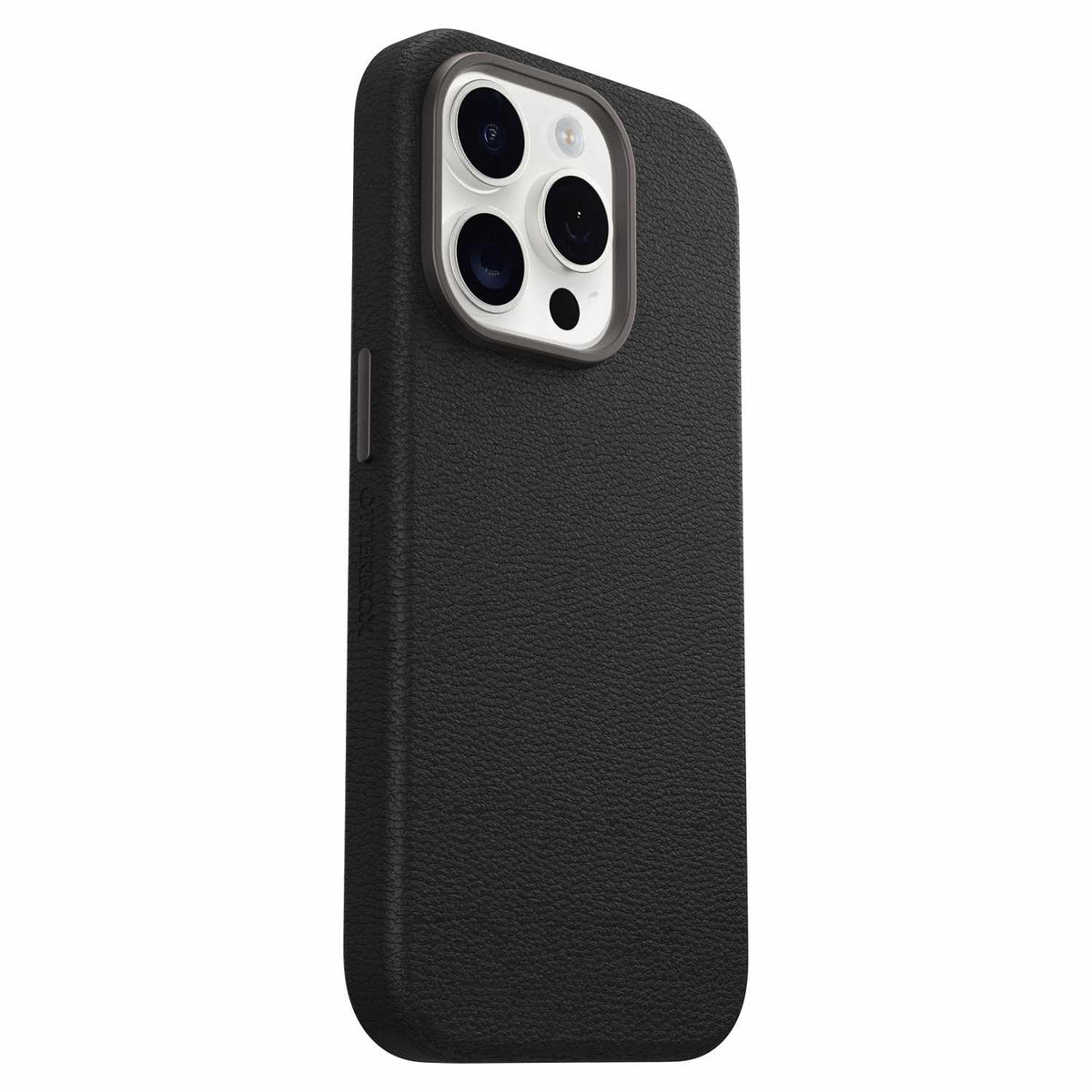 7795569 Symmetry Cactus — Étui en cuir MagSafe pour iPhone 15 Pro Noir — Ash