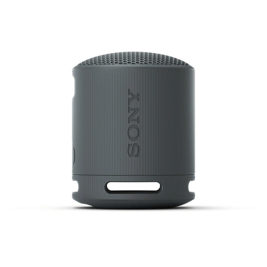 Sony — Haut-parleur portable sans fil — noir